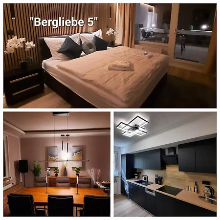 Bergliebe 5 Mit Grosser Terrasse, Tiefgarage & Lift * Bad Harzburg